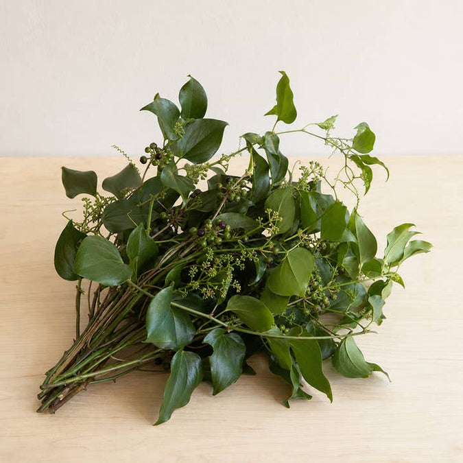 Fresh Smilax Vine product photograph