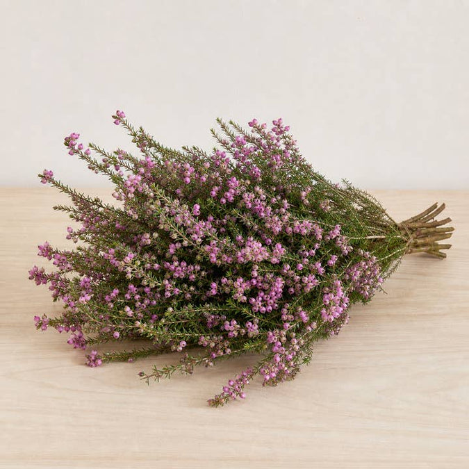 Fresh Holiday Heather product photograph