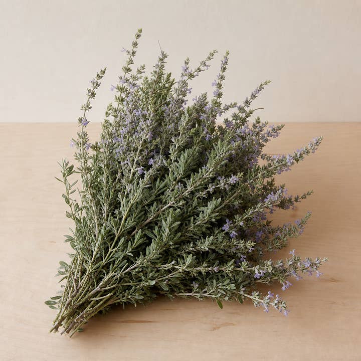 Fresh Silver Germander Greenery product photograph
