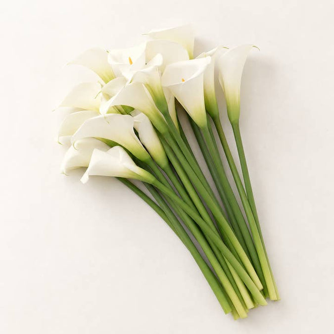 Fresh White Calla Lilies product photograph
