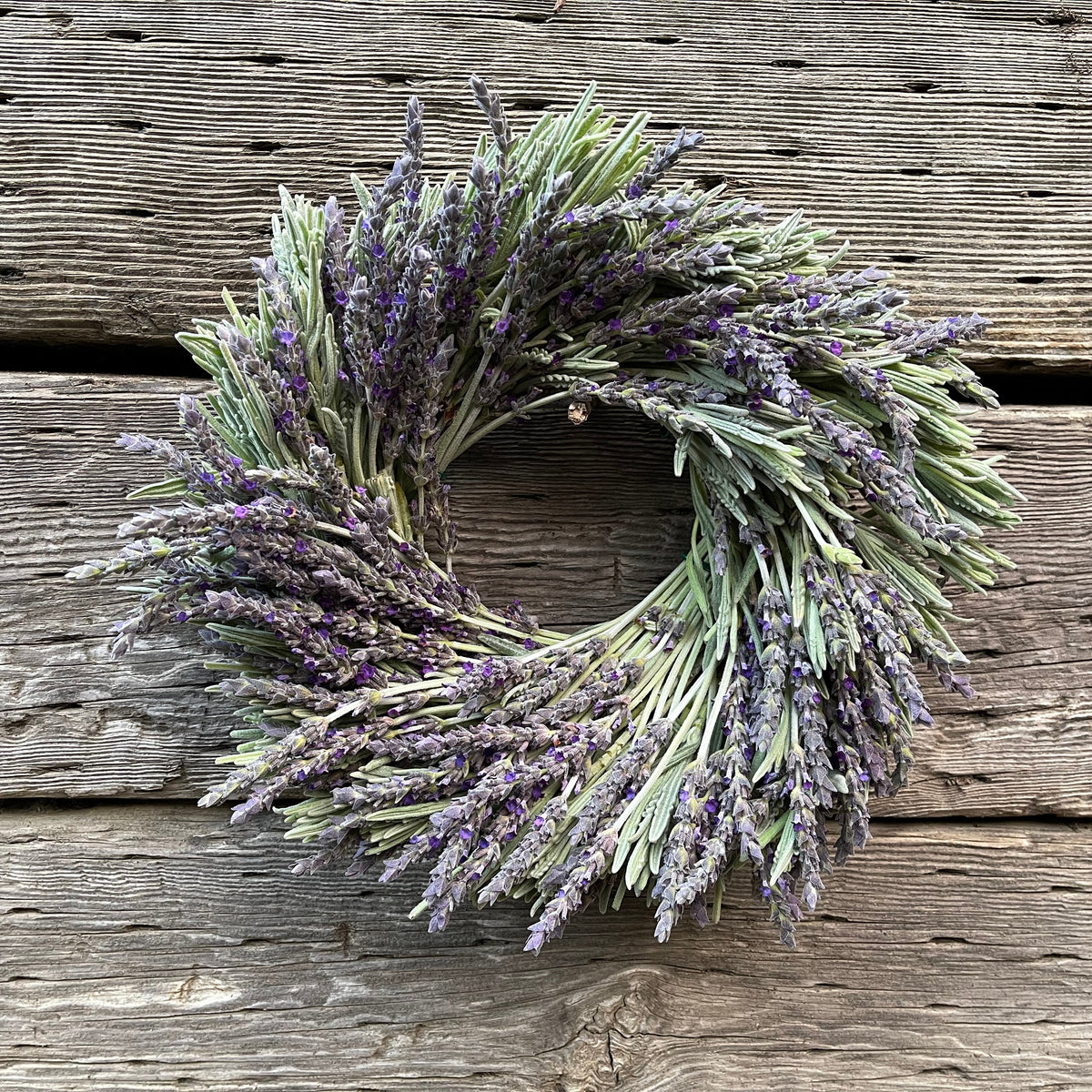 Fresh Lavender Wreaths