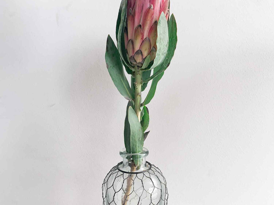 Pink Protea Flower Bouquets