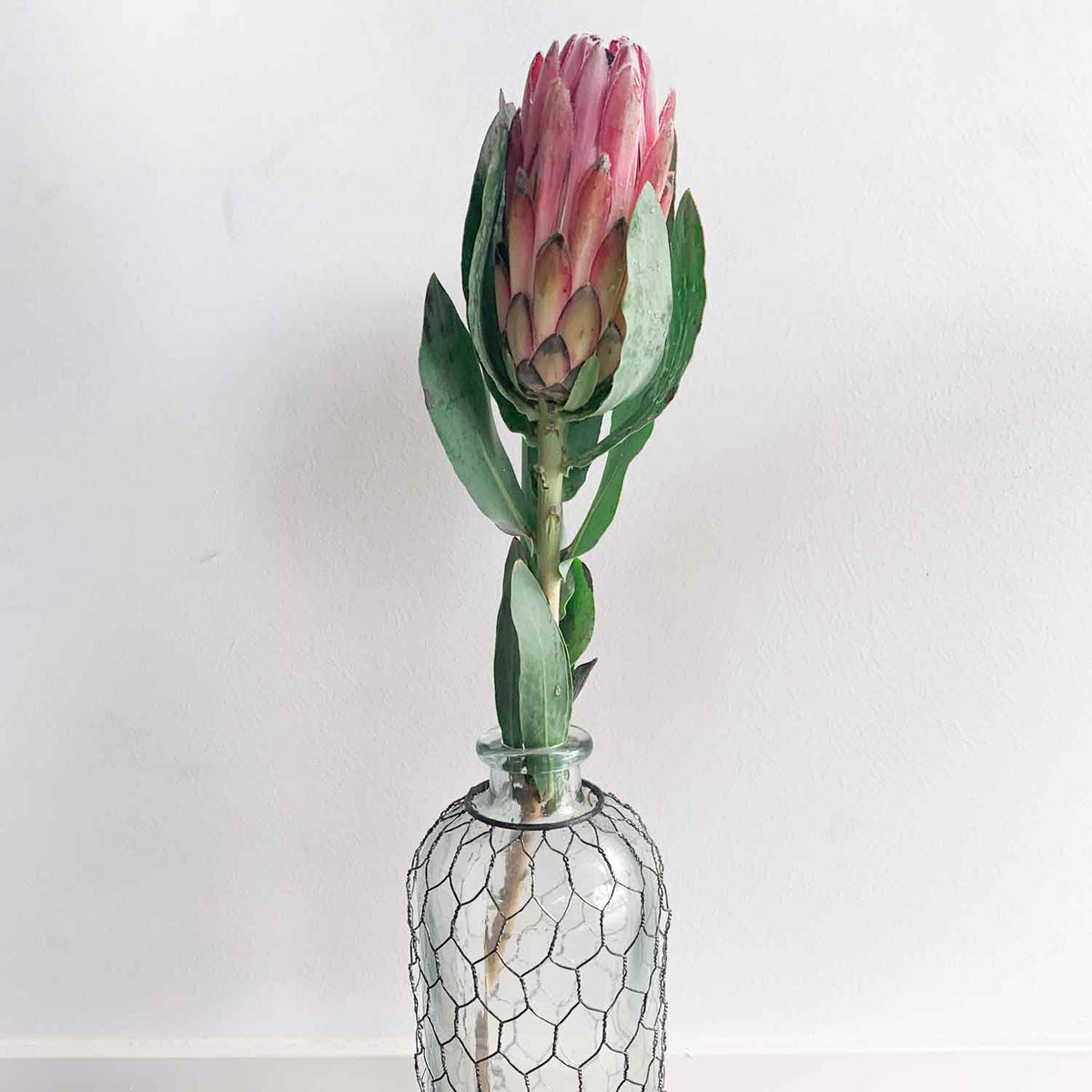 Pink Protea Flower Bouquets