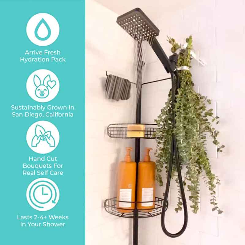 Fresh eucalyptus shower bundle packaging with hydration wrap and care details
