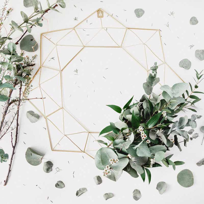 Eucalyptus For Your Shower Fresh + Original Self Care – theselfcareshower