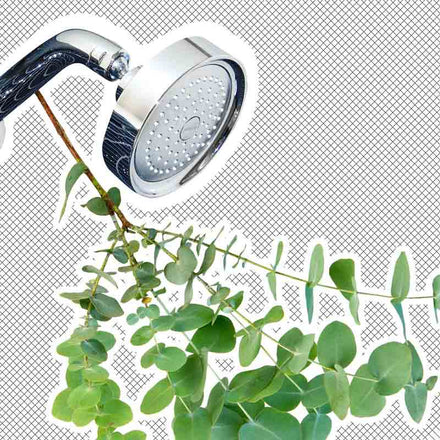 Silver shower head with green plant attached to pipe, checkered background with white outline around the plant and shower head