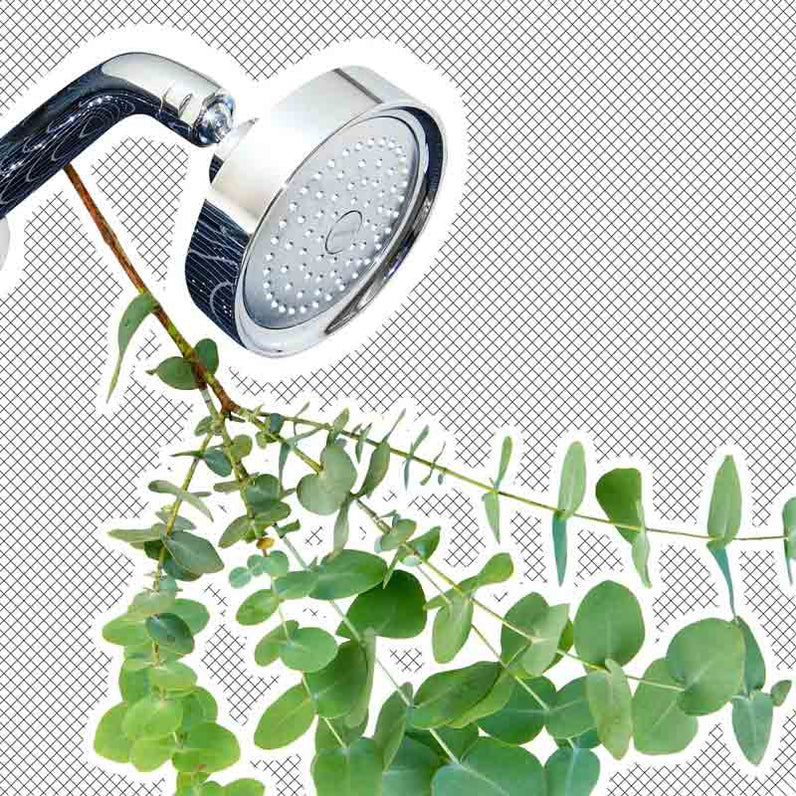 Eucalyptus For Your Shower Fresh + Original Self Care – theselfcareshower