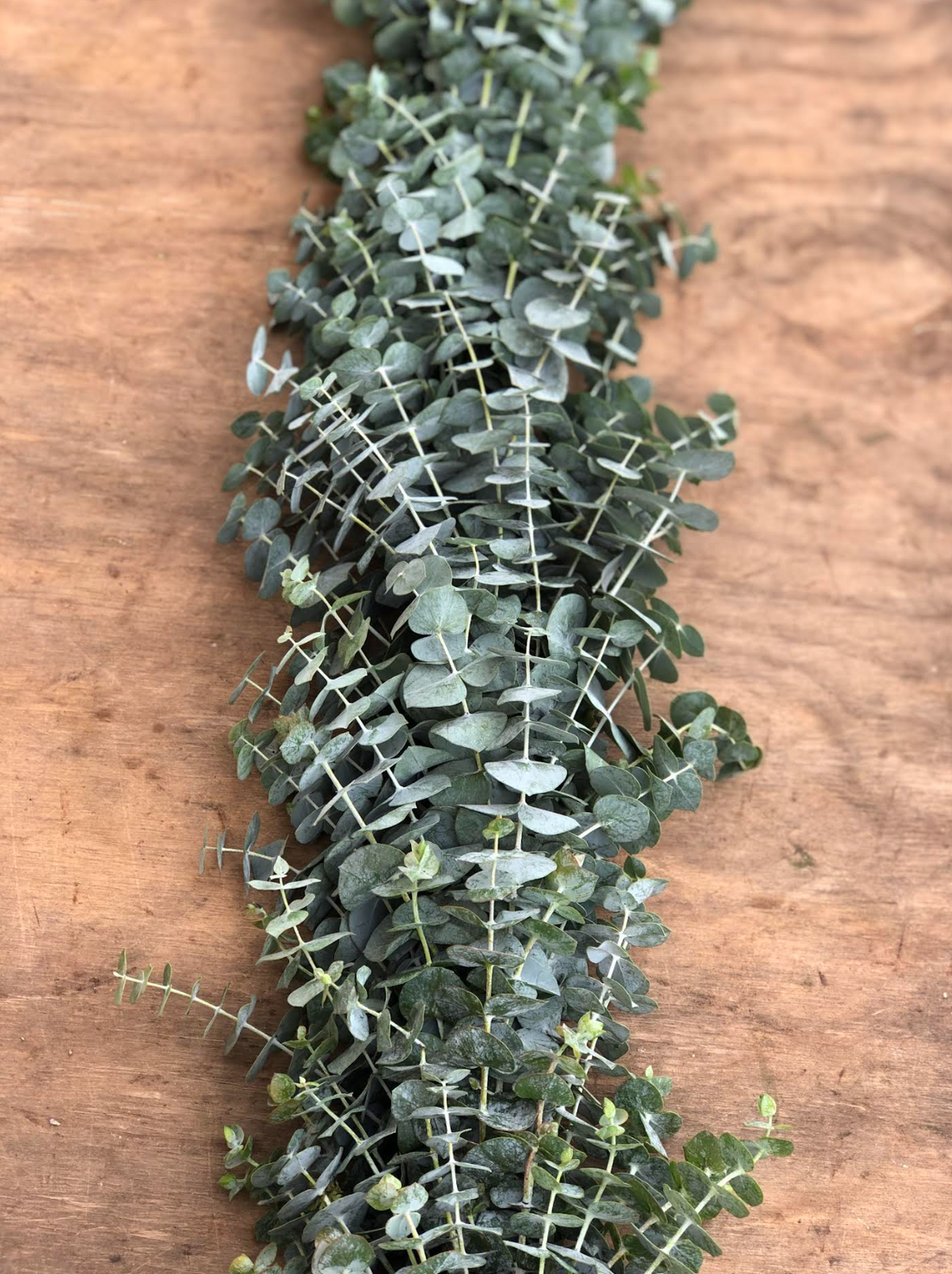 What to expect from fresh eucalyptus garlands