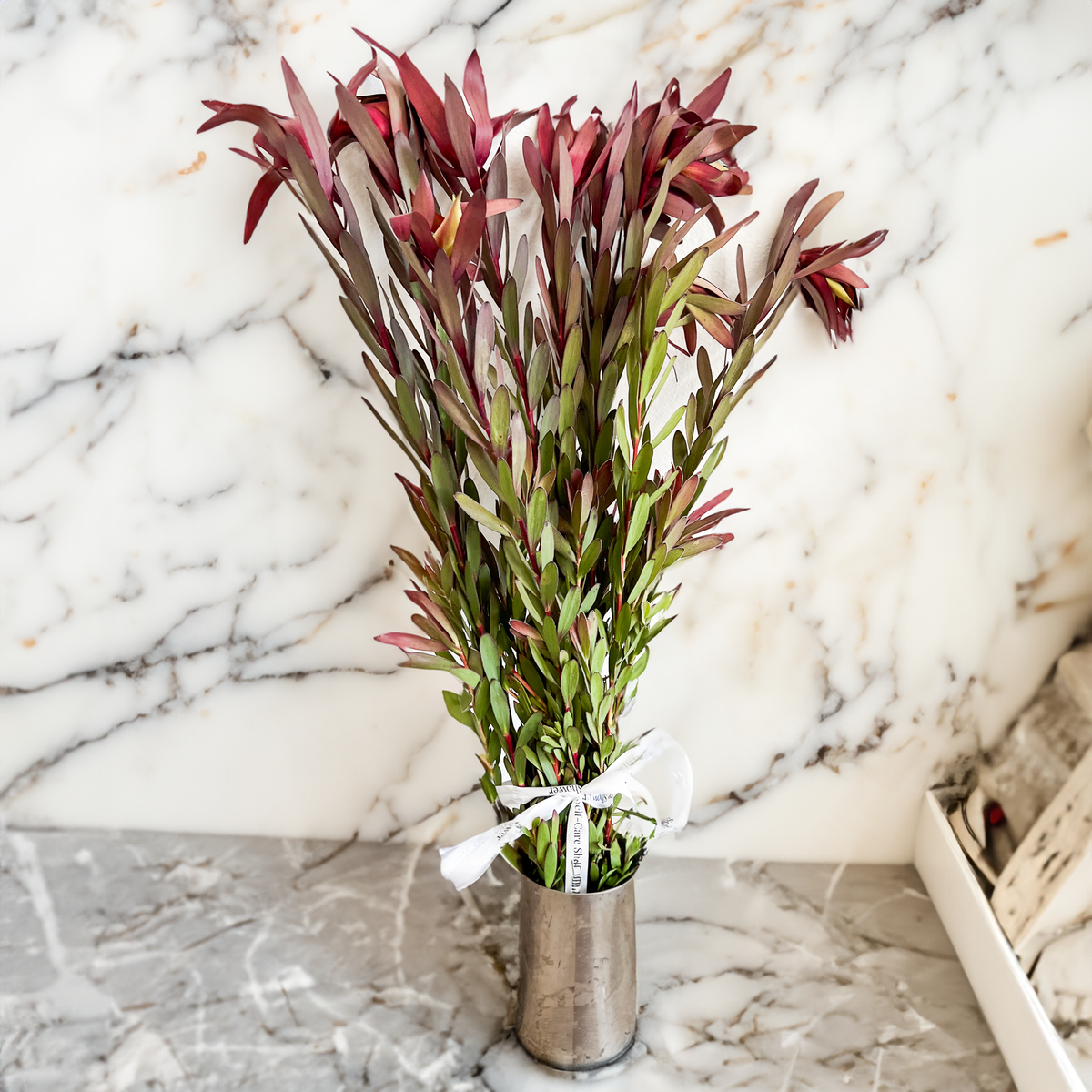 All Eucalyptus Shower Bundles SelfCare SelfCare Shower