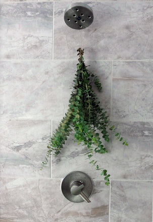 Fresh eucalyptus hanging in the shower by shower head with marble tiles in background