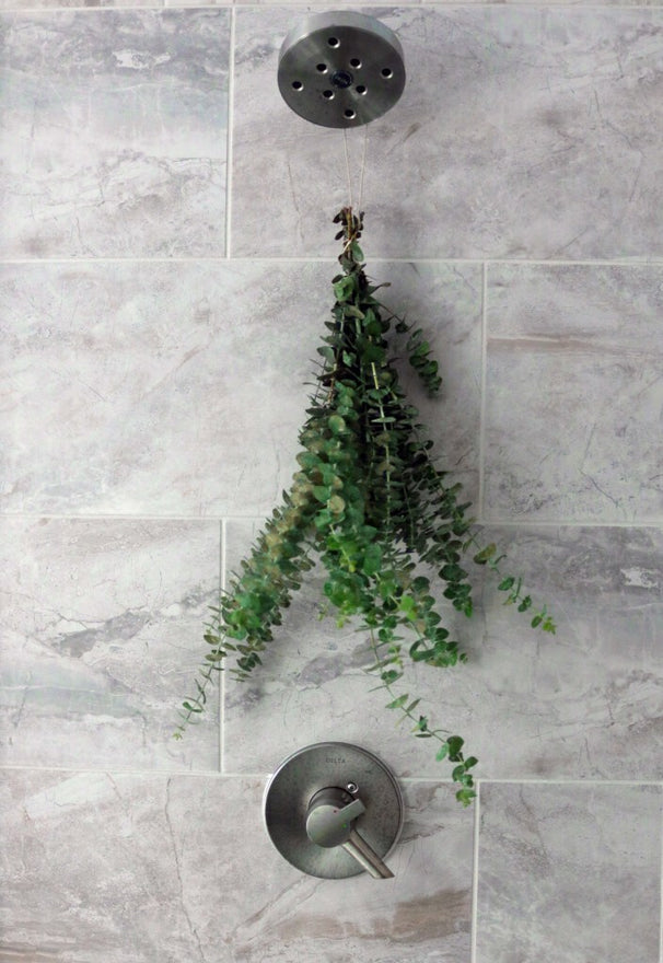 Eucalyptus For Your Shower Fresh + Original Self Care – theselfcareshower