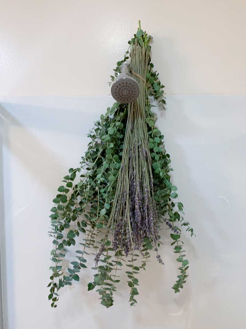 What to expect from lavender & eucalyptus shower bundles