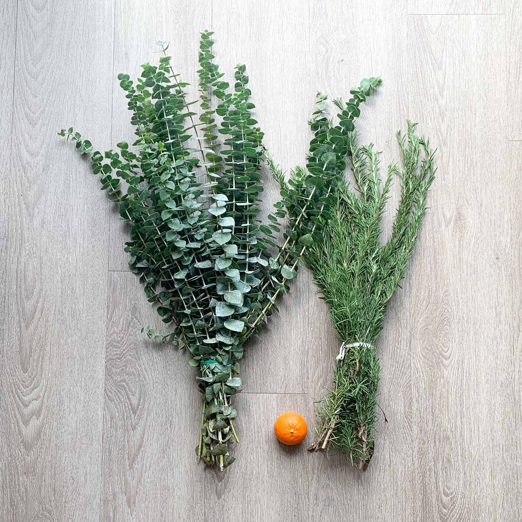 Eucalyptus and rosemary on wood backdrop with clementine in between