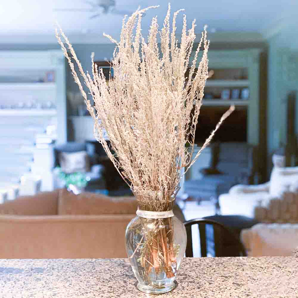 All Eucalyptus Shower Bundles SelfCare SelfCare Shower