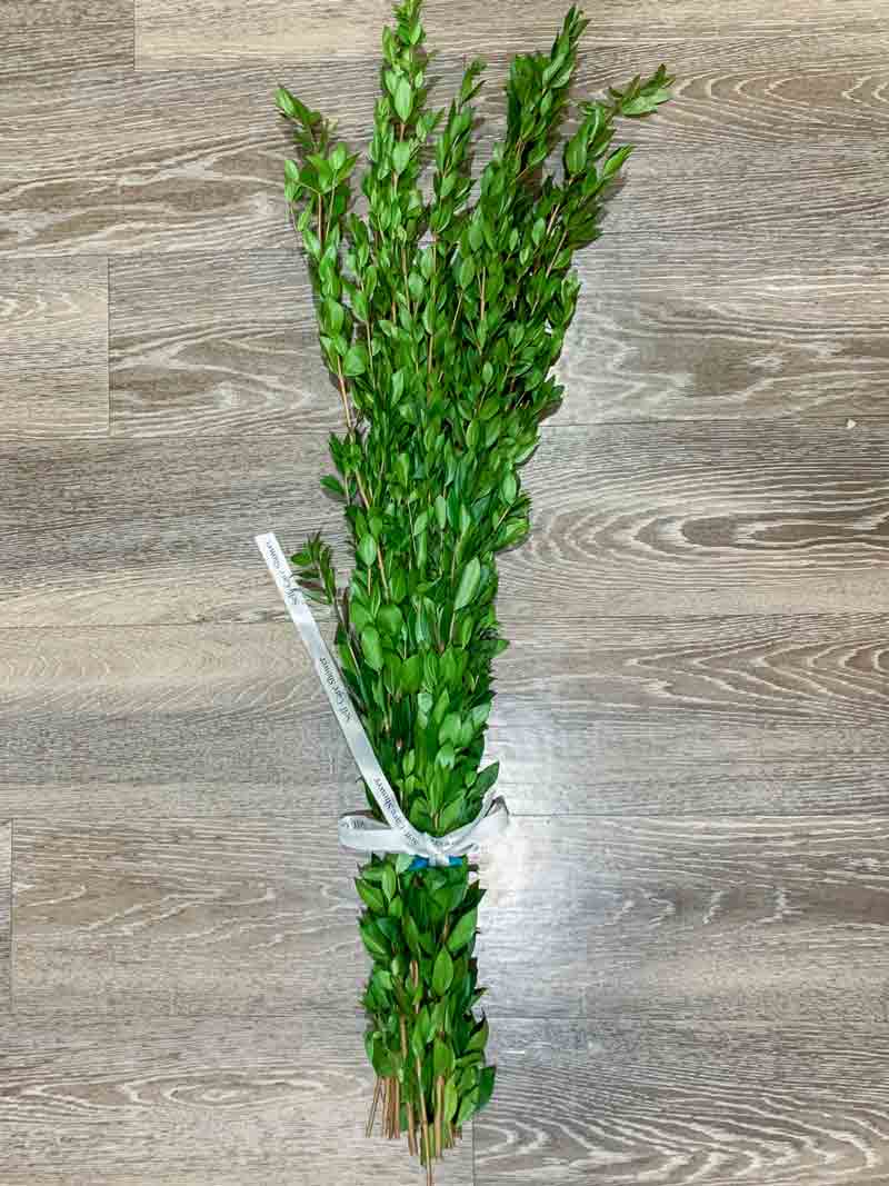 How to use and care for a fresh myrtle bundle