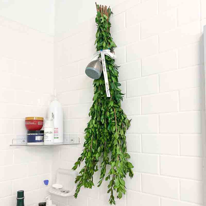 What to expect from fresh myrtle bundles