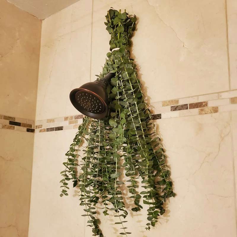 Eucalyptus on brass shower