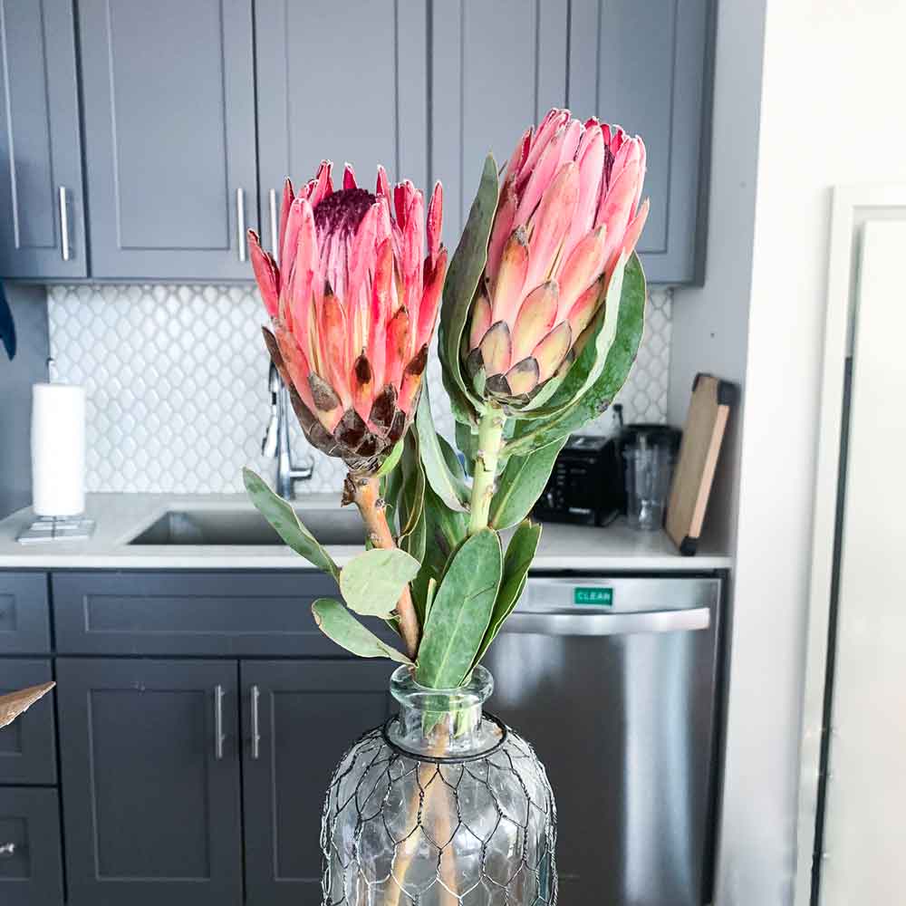 What to expect from pink protea flower bouquets